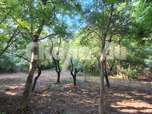 HOUSE WITH A LARGE GARDEN BY THE RIVER – ONLY MINUTES FROM KYUSTENDI! - 2