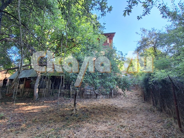 HOUSE WITH A LARGE GARDEN BY THE RIVER – ONLY MINUTES FROM KYUSTENDI! - 3