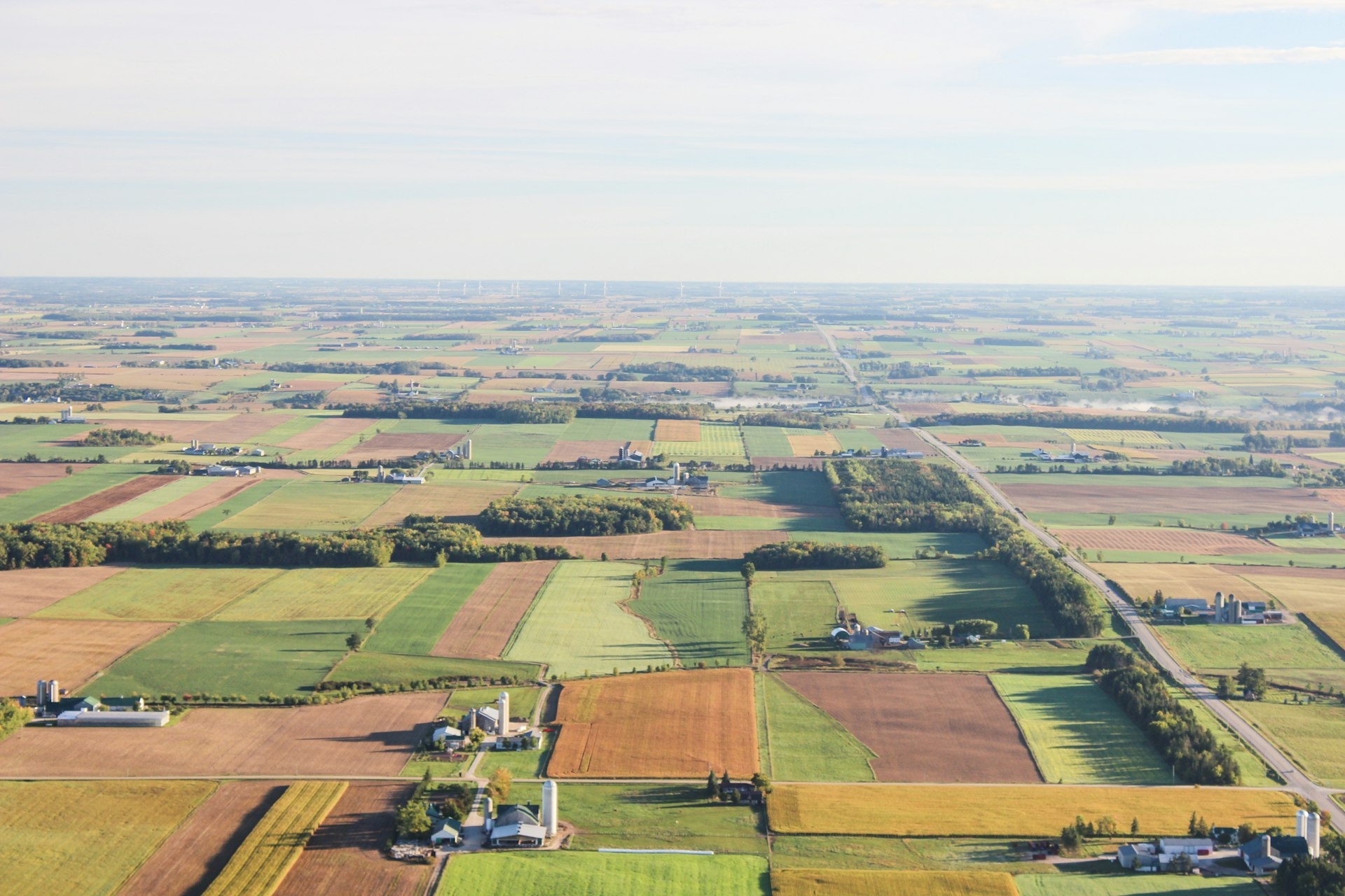 Farmland as an investment in Bulgaria: what it costs, what leasing it out earns, and what to check before you buy a field