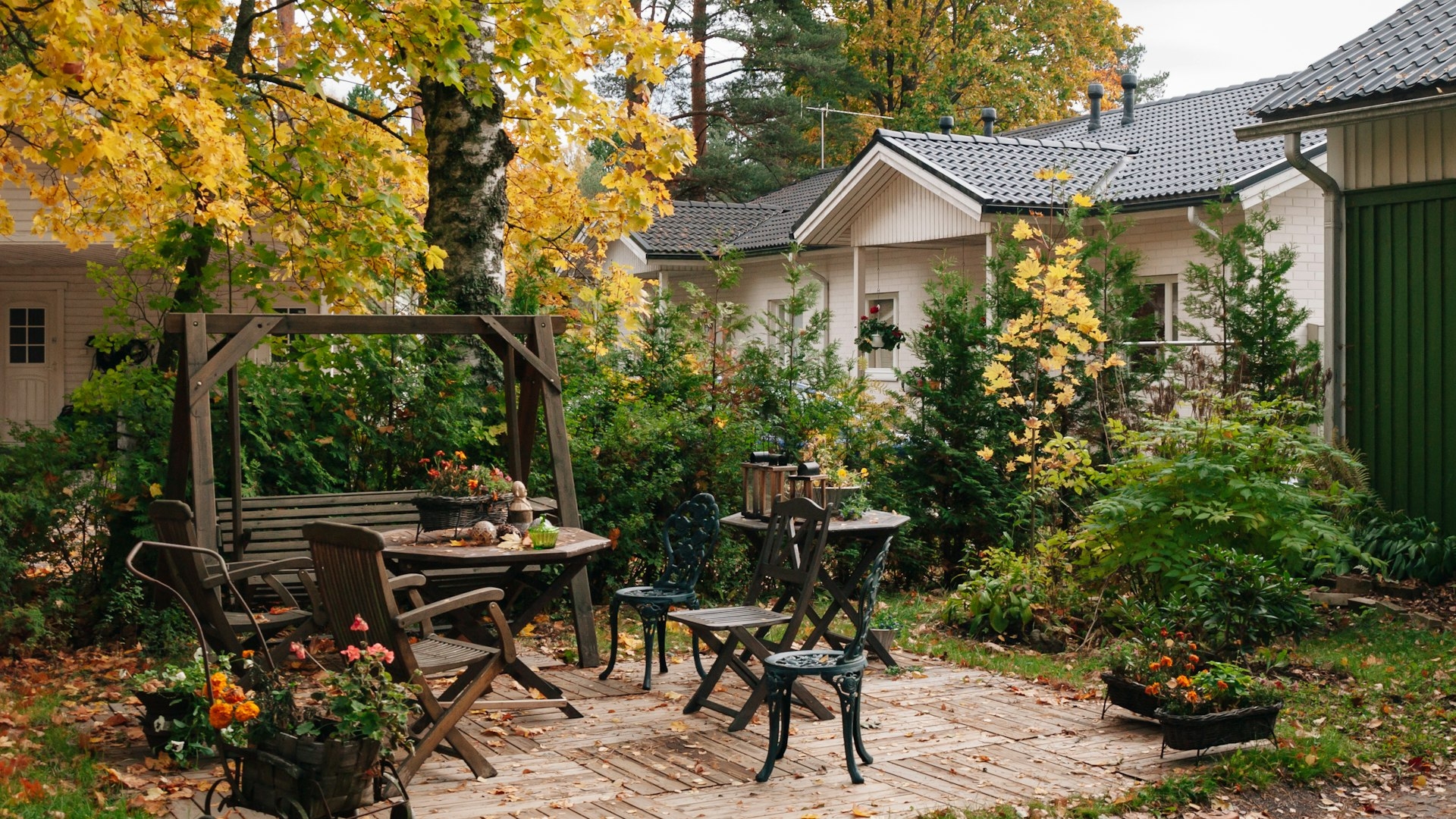A garden for a house near Sofia: plants that cope with the local climate, when to plant and how far from the neighbour