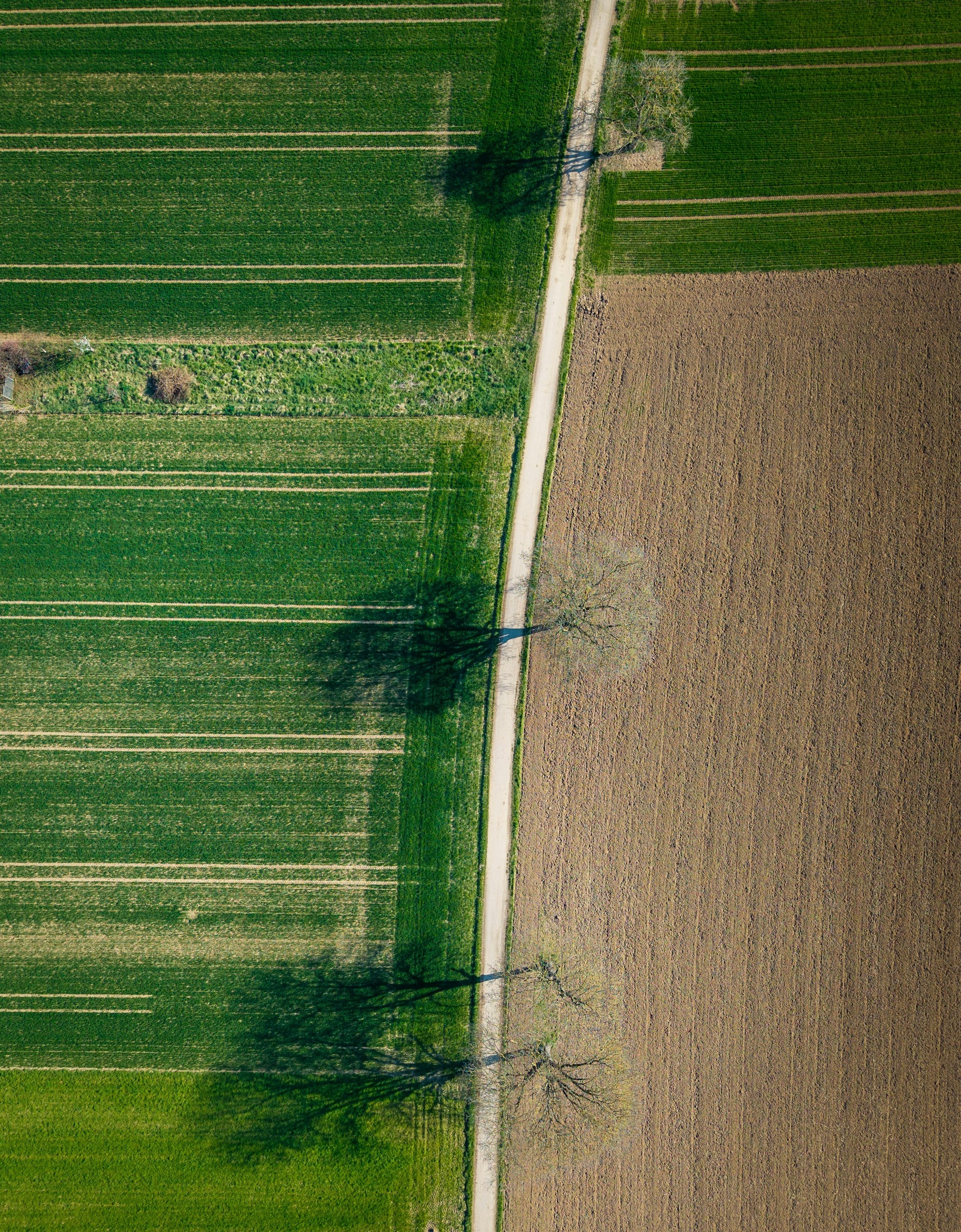 50,852 versus 9,553 decares: why Bulgaria's land restitution is still unfinished — and what the new bill proposes