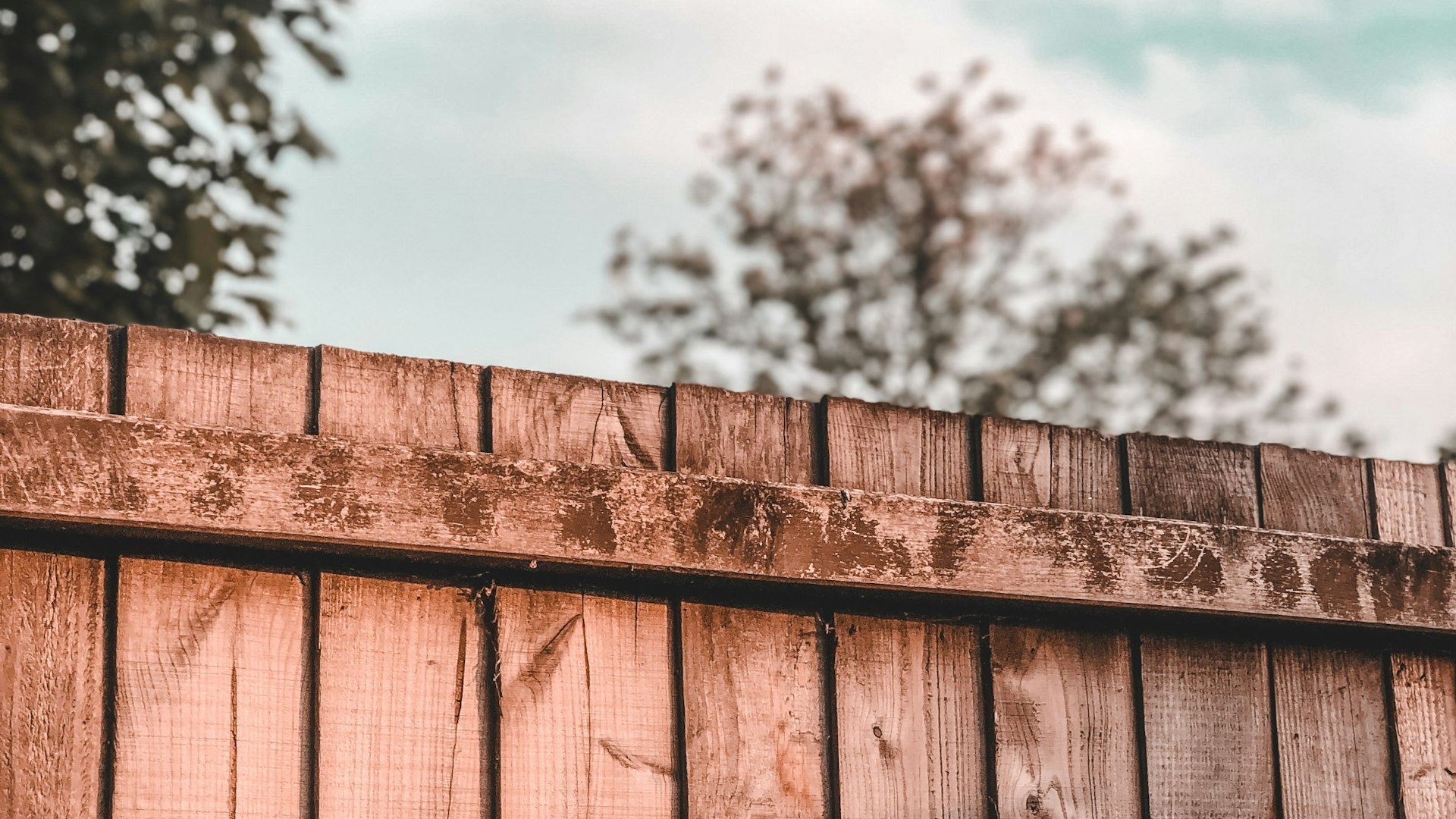Neighbour disputes over boundaries, fences and trees in Bulgaria: distances, who pays for the fence, branches and roots across the boundary — what the law says
