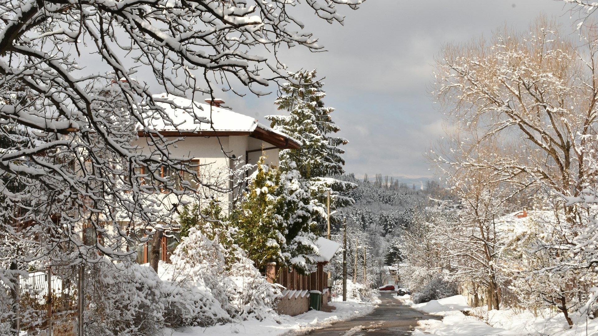 Boyana, Dragalevtsi and Simeonovo: houses and gated complexes on the slopes of Vitosha – access, roads, zoning and winter maintenance