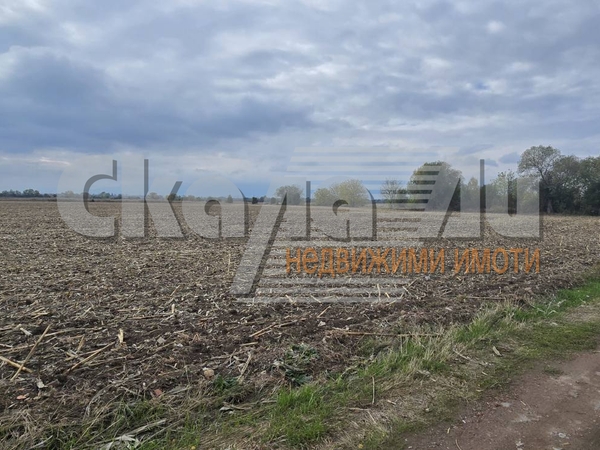 Поземлен имот в землището на с.Житен, в близост до Житенски път. - 4
